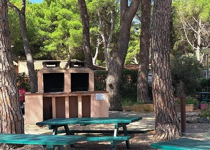 Cap Ou Pas Cap * アグド